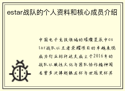 estar战队的个人资料和核心成员介绍